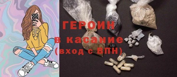 гашик Алексин