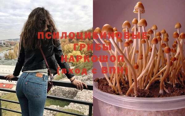 мяу мяу мука Абинск