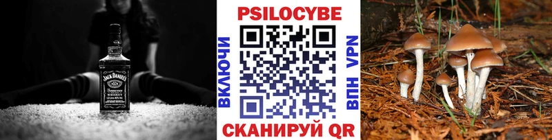 Псилоцибиновые грибы мухоморы  Бийск 